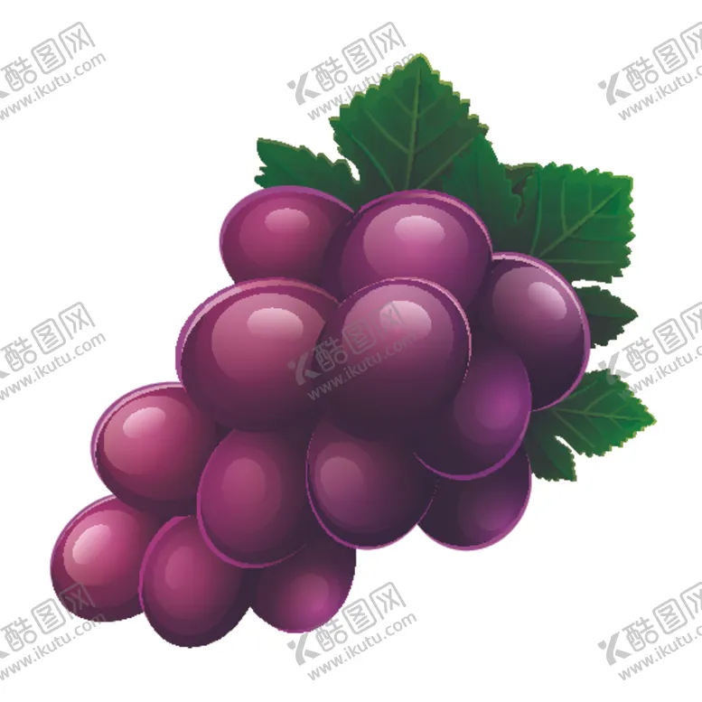 编号：10608607061008497678【酷图网】源文件下载-葡萄