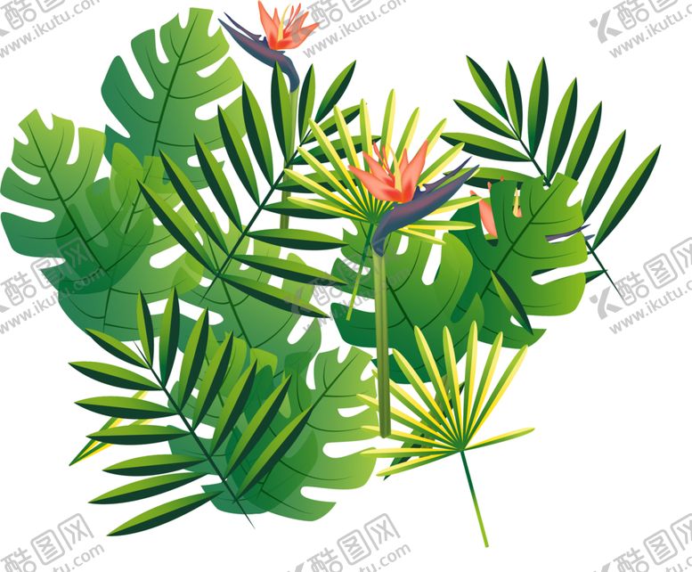 编号：56743510110225399612【酷图网】源文件下载-芭蕉叶热带