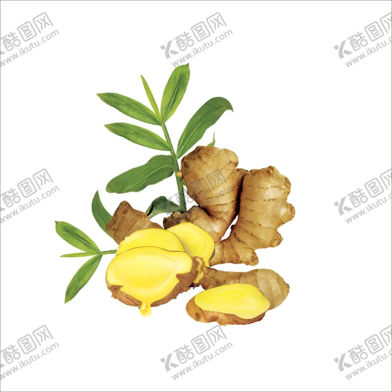 编号：79856403231503089777【酷图网】源文件下载-生姜
