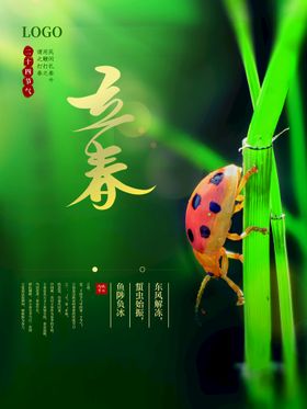 立春