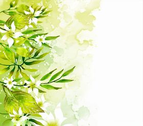 水彩绘绿色树叶白色花卉
