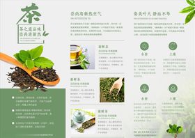 三折页模板
