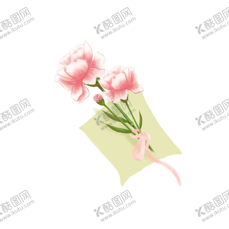 编号：38517702101225516477【酷图网】源文件下载-妇女节手绘两朵康乃馨