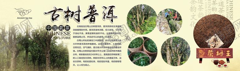 编号：40216309150312251269【酷图网】源文件下载-普洱