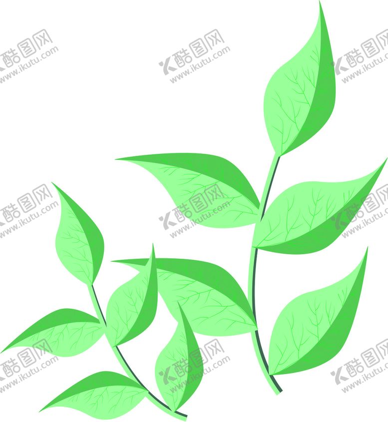 编号：10364901162036181648【酷图网】源文件下载-叶子插画