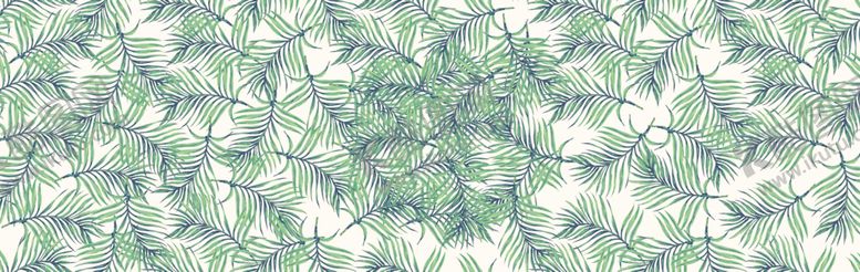 编号：42924409191059132290【酷图网】源文件下载-肉底绿叶