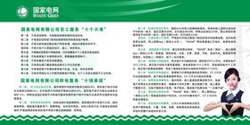 电网双十条