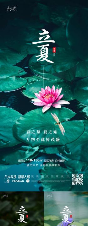 立夏节气系列海报简约荷花二十四植物