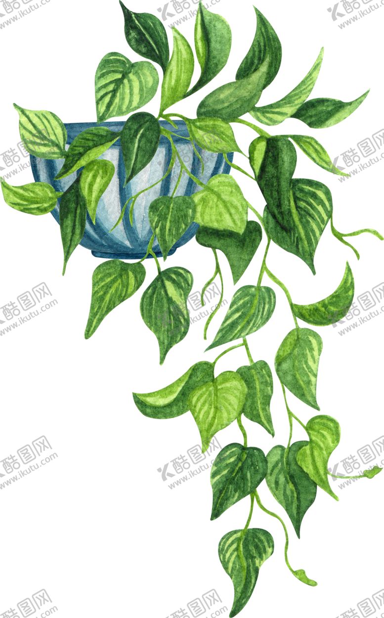 编号：97089205161543445162【酷图网】源文件下载-绿萝插画