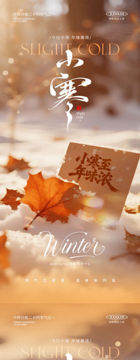 地产小寒节气落叶海报