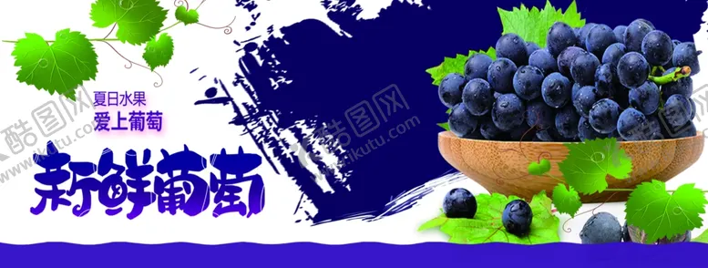 编号：42945803250256289733【酷图网】源文件下载-葡萄海报