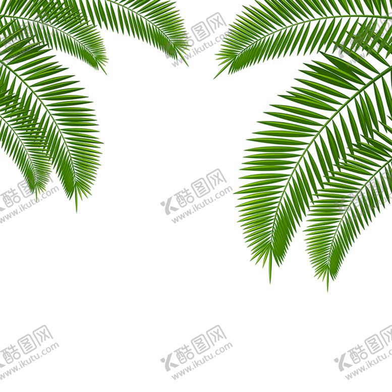 编号：72627910160142241661【酷图网】源文件下载-棕榈叶 元素