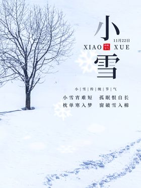 小雪节气冬至节气冬至海报