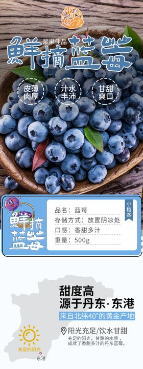 蓝莓水果蔬菜电商淘宝详情页