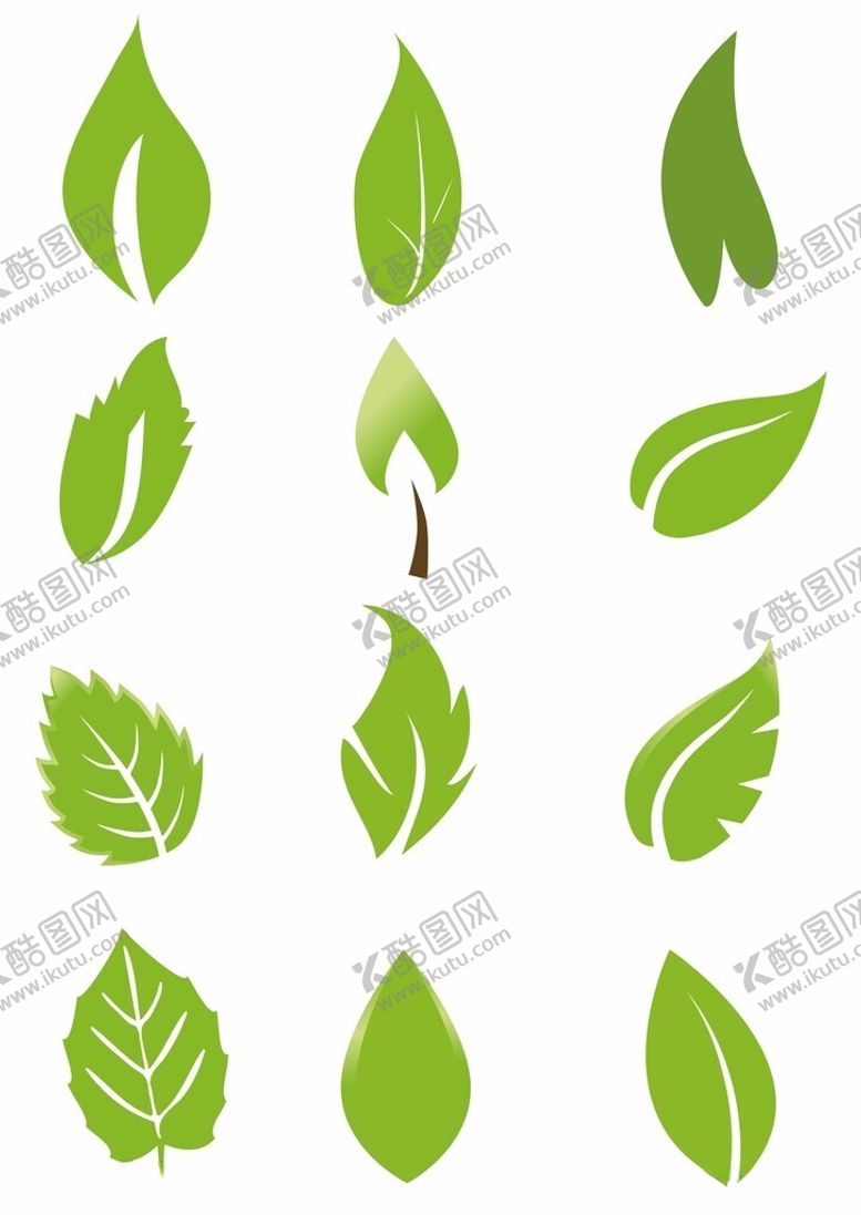 编号：69777401251347554349【酷图网】源文件下载-树叶