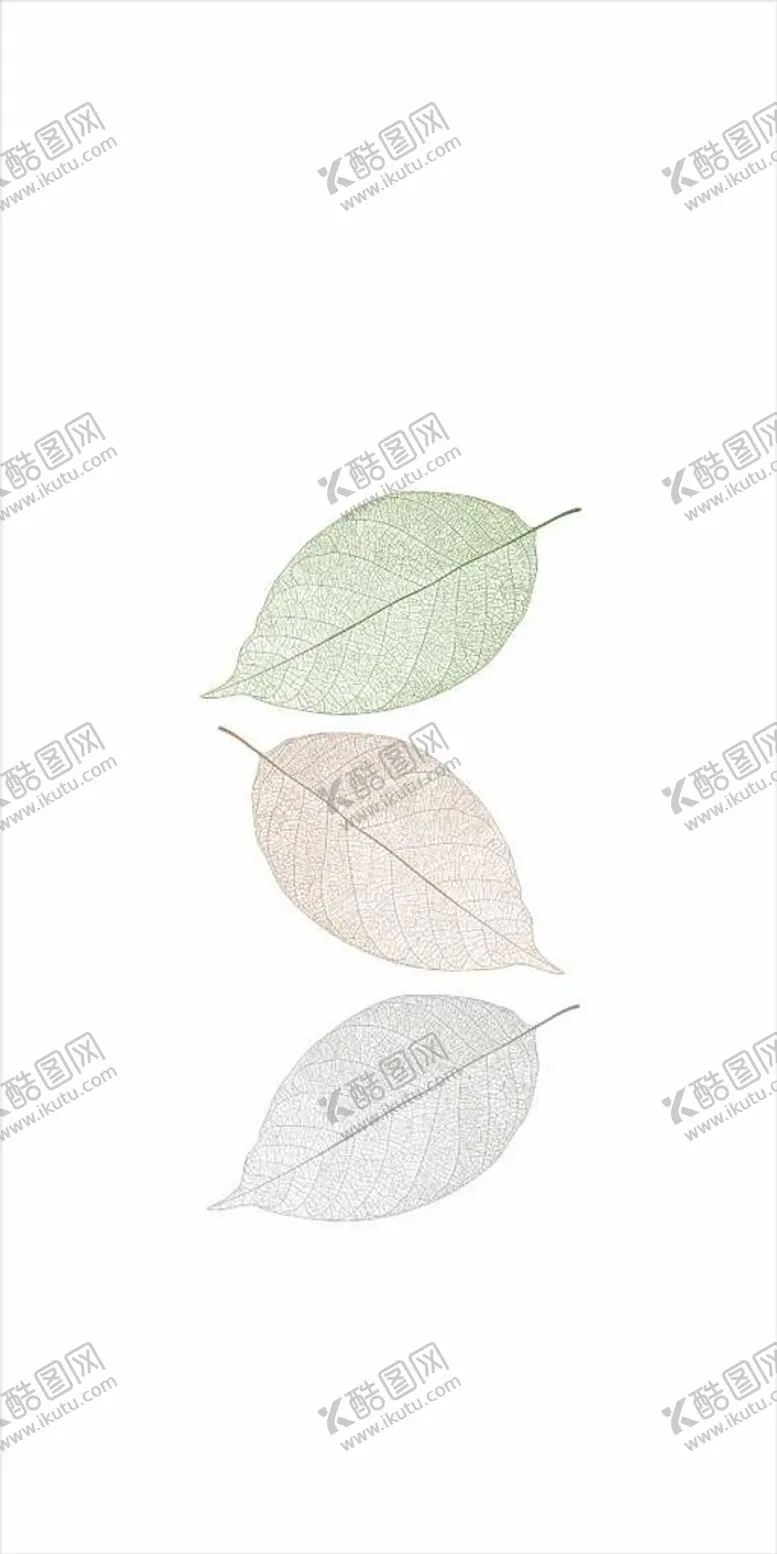 编号：53489012101050061658【酷图网】源文件下载-树叶矢量