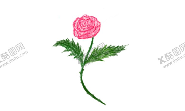 编号：23527010062052058190【酷图网】源文件下载-玫瑰