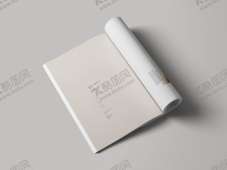 编号：65798510240124375616【酷图网】源文件下载-画册贴图
