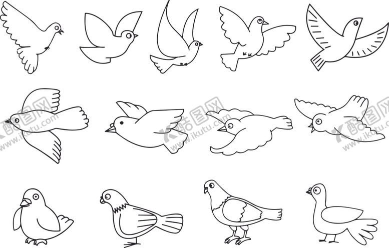 编号：10057109241502268958【酷图网】源文件下载-鸽子简笔画