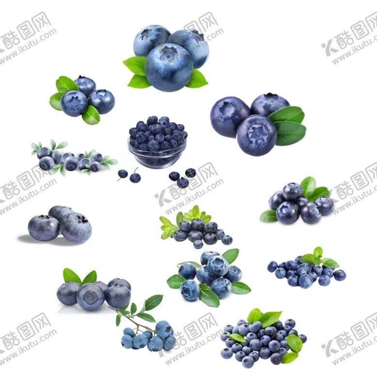 编号：30262901270910175634【酷图网】源文件下载-免抠蓝莓