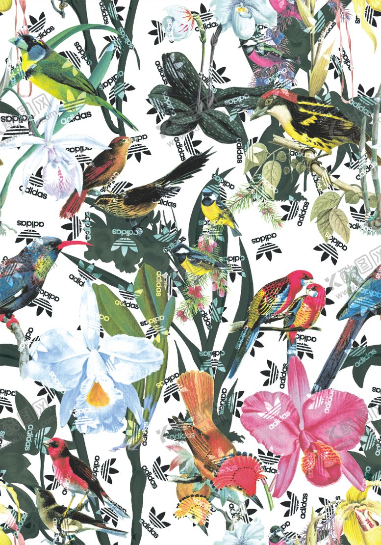 编号：10212610290448262964【酷图网】源文件下载-花卉