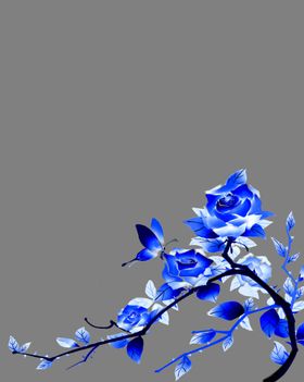 蓝色花素材