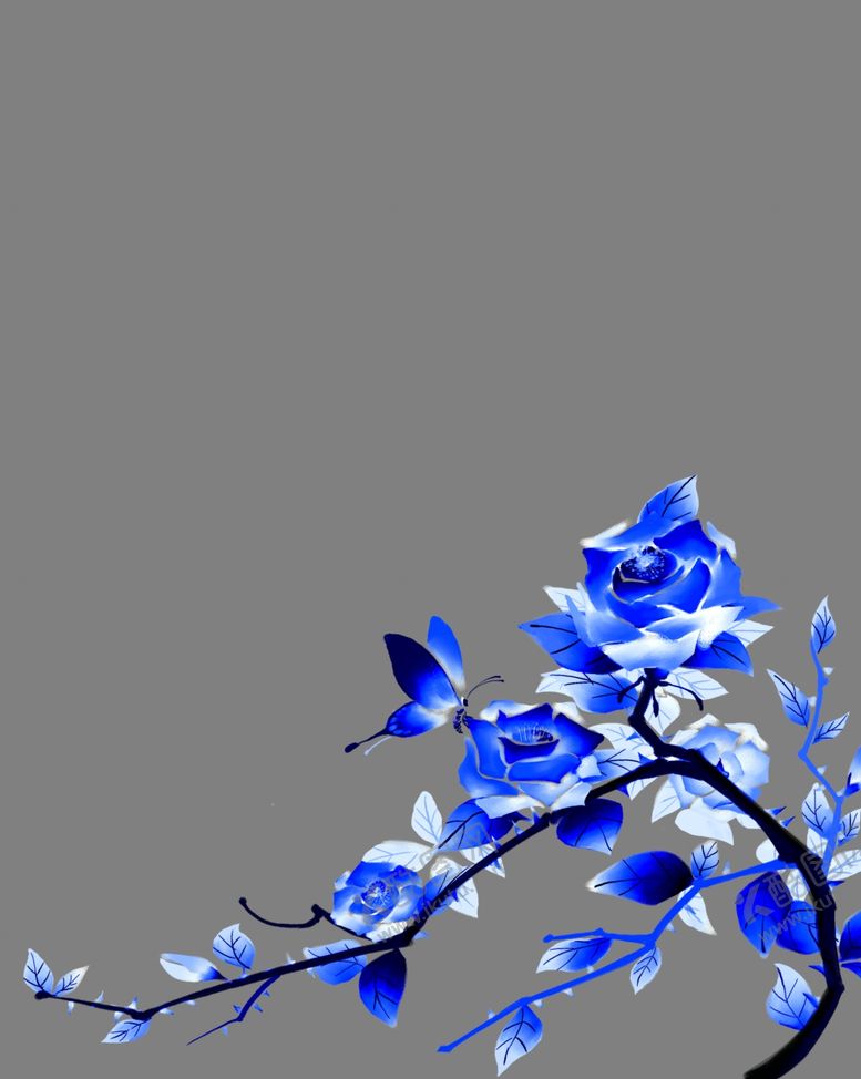 编号：26504507050054567098【酷图网】源文件下载-蓝色花素材