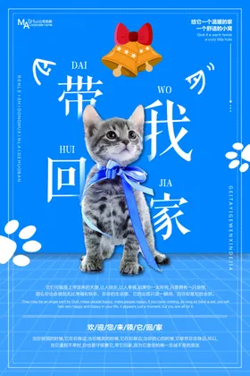 宠物海报