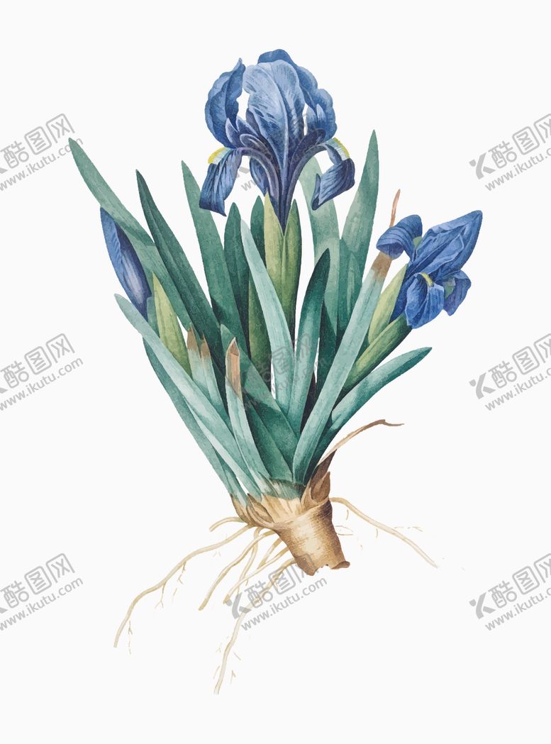 编号：52938910220032388241【酷图网】源文件下载-花纹
