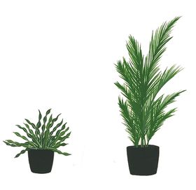 绿色植物