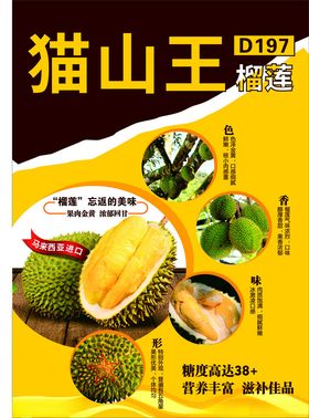 猫山王榴莲