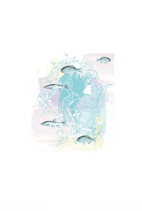 花卉组合