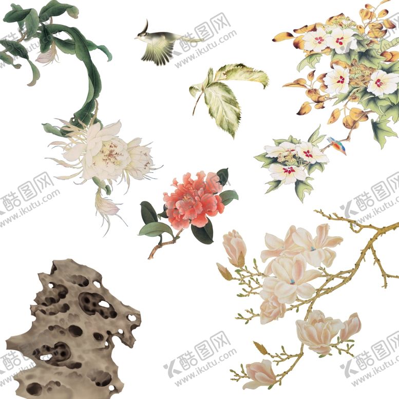 编号：64803410141438008622【酷图网】源文件下载-工笔花鸟