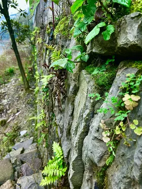 郊外河边彩虹风景