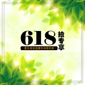 618活动图