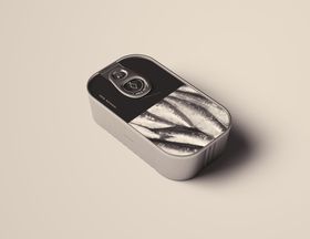 罐头食品包装