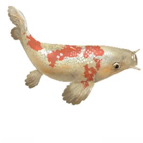 鲤鱼插画图案