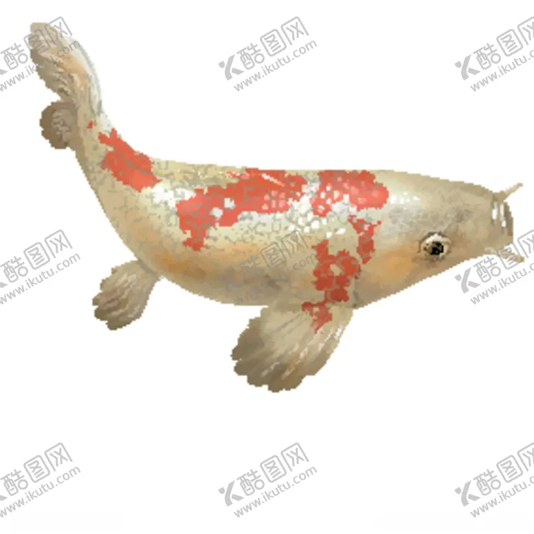编号：85091006242011235911【酷图网】源文件下载-鲤鱼插画图案