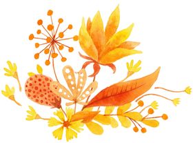 水彩植物花卉手绘插图卡通