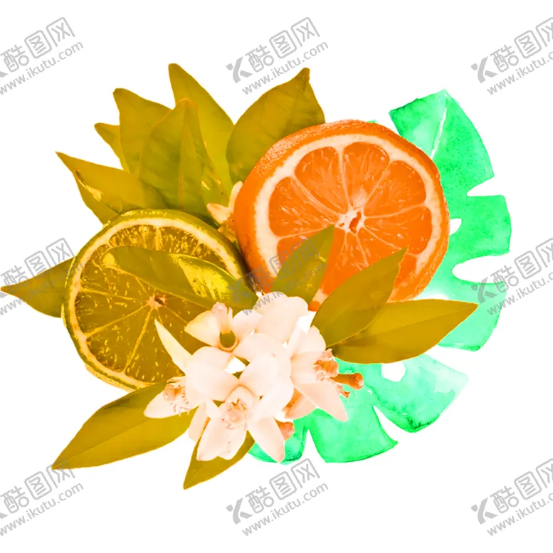 编号：50925107020815568002【酷图网】源文件下载-花素材