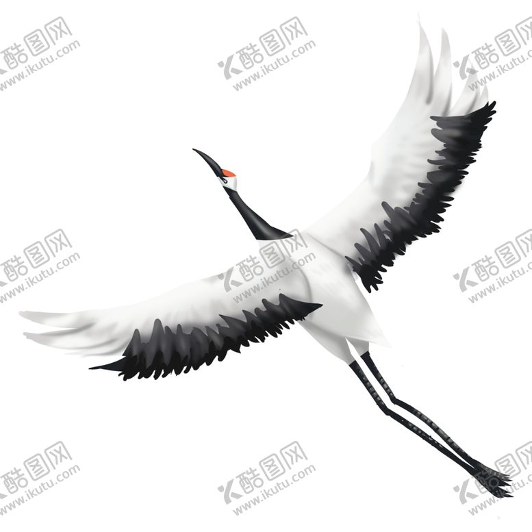 编号：36498404171402112966【酷图网】源文件下载-仙鹤元素