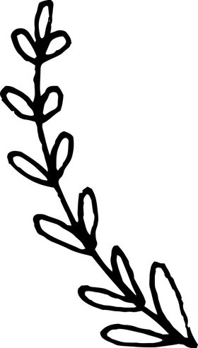 手绘植物枝干