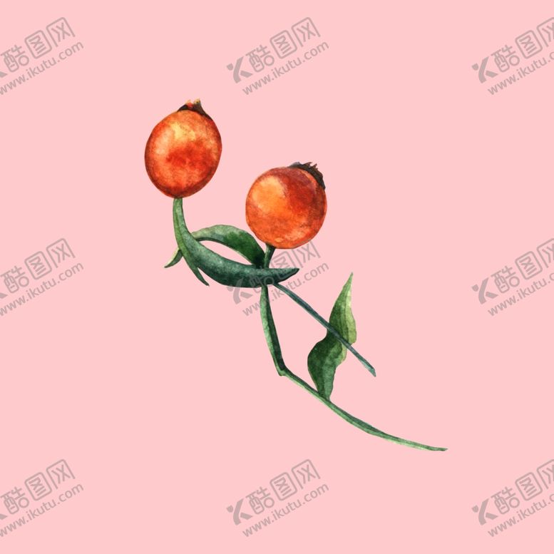 编号：32008007071509239649【酷图网】源文件下载-水彩植物