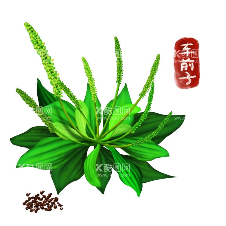 编号：71138612040015169131【酷图网】源文件下载-植物