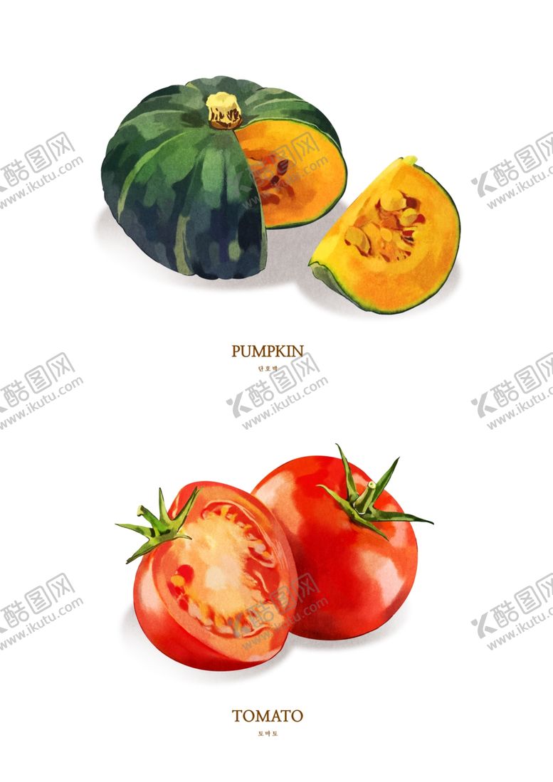编号：67591705141815316216【酷图网】源文件下载-南瓜西红柿