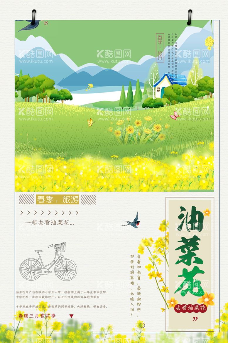 编号：58273111201107026853【酷图网】源文件下载-油菜花