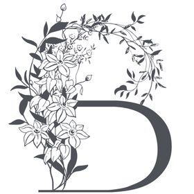 字母B