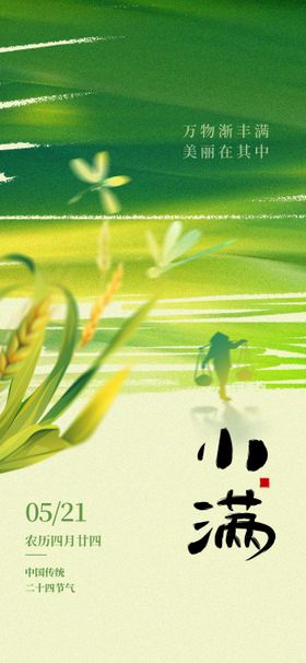 二十四节气小满节气创意插画宣传海报