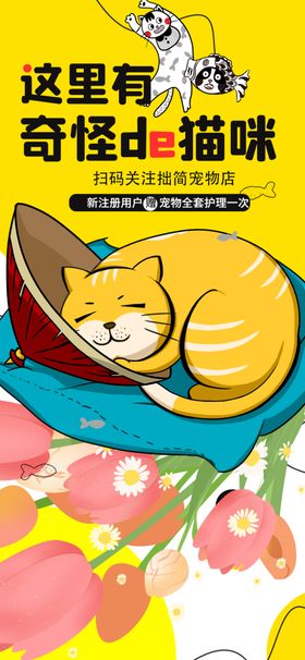 猫咪惬意躺卧花丛中