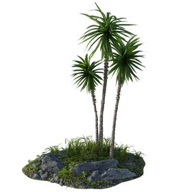 椰树